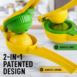 Metal-Lemon-Squeezer